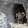 Ozeaneum Stralsund